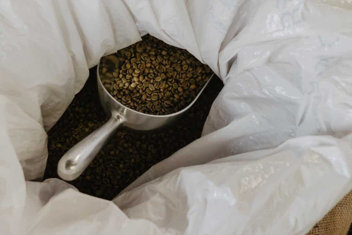 Mocha Java Coffee